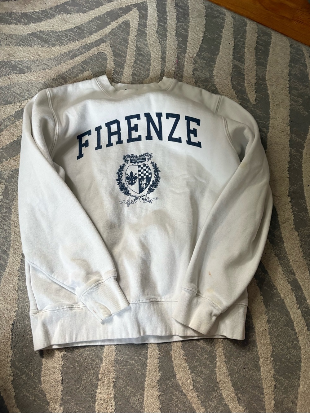 Brandy Melville Firenze oversized crewneck sweatshirt